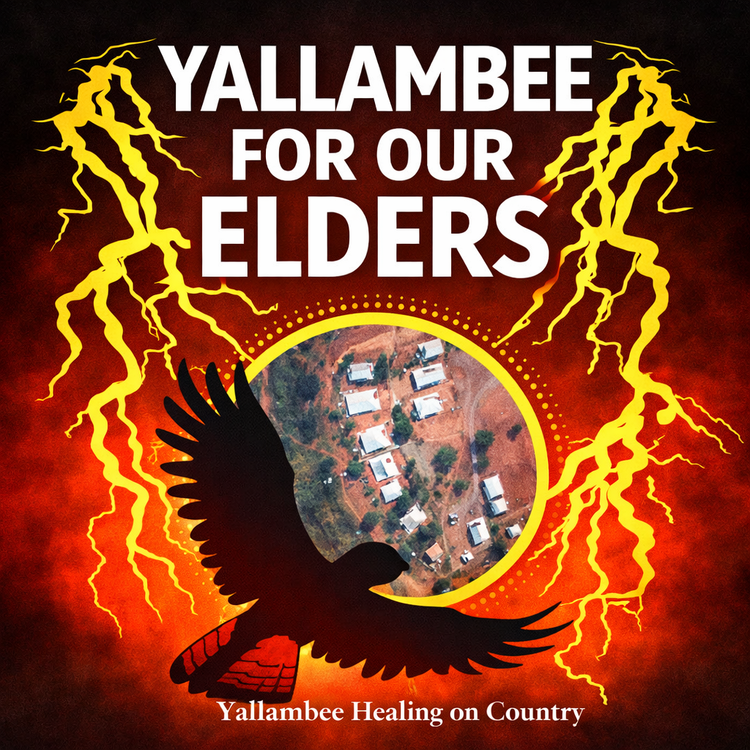 🌿 Yallambee Healing on Country